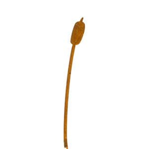 A brown stick with a long handle