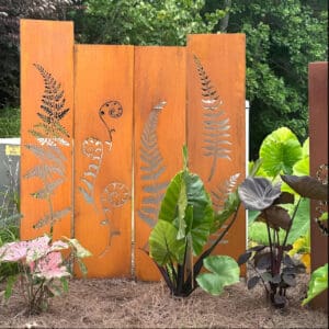 Fern Garden Display
