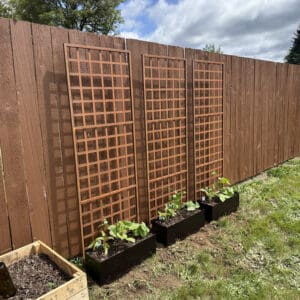 Garden trellis and planters by wooden fence.
