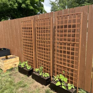 Garden trellis with planters and greenery.
